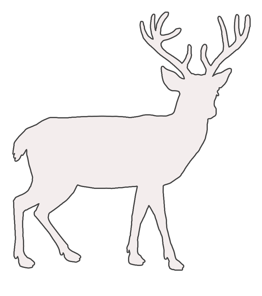 Hjort